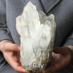 5.6lb Large Natural Clear White Quartz Crystal Cluster Rough Healing Specimen