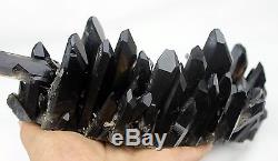 5.72Ib AAA+++ Beautiful Black Quartz Crystal Cluster Specimen Rare