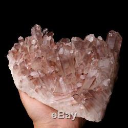 5.75lb Natural Clear Red Quartz Point Crystal Cluster Healing Mineral Specimen