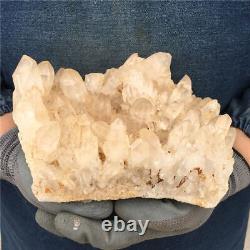 5.8 LB Natural Clear Quartz Cluster Crystal Mineral Specimen Healing