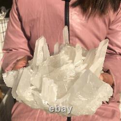 5.91LB Natural White Clear Quartz Crystal Cluster Rough Healing Specimen