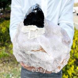 5.95LB Natural black tourmaline quartz crystal cluster mineral specimen