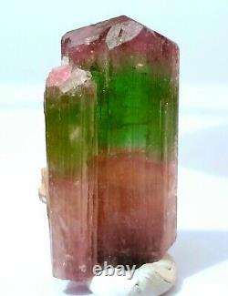 50 Gram Top Quality ST Gemmy Multicolors Twin Bunch Type Tourmaline Crystal