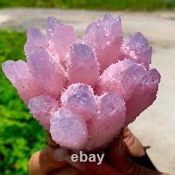 507G New Find Pink Phantom Quartz Crystal Cluster MineralSpecimenHealing