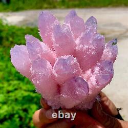 507G New Find Pink Phantom Quartz Crystal Cluster MineralSpecimenHealing