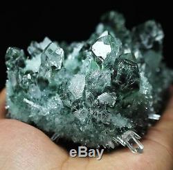 510g New Find Green Phantom Quartz Crystal Cluster Mineral Specimen Healing