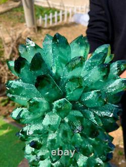 53.24LB New Find Green Phantom Quartz Crystal Cluster Mineral Specimen Healing