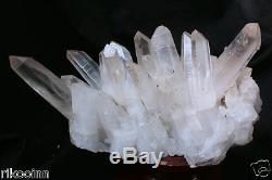 5584g Natural Clear Lemurian Seed Quartz Point Crystal Cluster Specimen