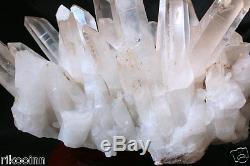 5584g Natural Clear Lemurian Seed Quartz Point Crystal Cluster Specimen
