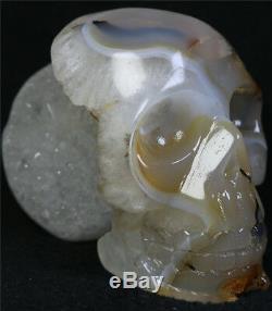 568g Natural Agate Geode crystal gemstone Carved Skull Cluster Skeleton Healing