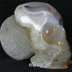 568g Natural Agate Geode crystal gemstone Carved Skull Cluster Skeleton Healing