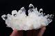 570g Clear Natural Beautiful White Skeletal Quartz Crystal Cluster Specimen