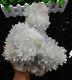 5840g New Find Clear Natural White Chrysanthemum Quartz Crystal Cluster Specime