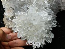 5840g New Find Clear Natural White chrysanthemum QUARTZ Crystal Cluster Specime