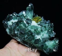 584g New Find Beatiful Green Tibetan Phantom Quartz Crystal Cluster Specimen