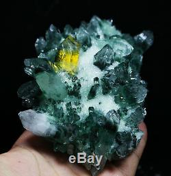 584g New Find Beatiful Green Tibetan Phantom Quartz Crystal Cluster Specimen