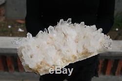 5900g Beautiful Natural Clear Crystal White Quartz Cluster Specimen Tibetan#5009