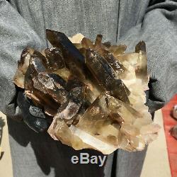 5LB Natural smoky Citrine quartz cluster crystal specimen healing HOT1331