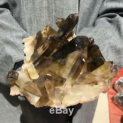 5LB Natural smoky Citrine quartz cluster crystal specimen healing HOT1331