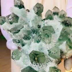 6.0LB Find Green Phantom Quartz Crystal Cluster Mineral Specimen Healing F859