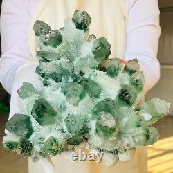 6.0LB Find Green Phantom Quartz Crystal Cluster Mineral Specimen Healing F859