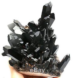 6.12lb Rare Natural Black QUARTZ Crystal Cluster Mineral Specimen