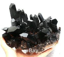 6.12lb Rare Natural Black QUARTZ Crystal Cluster Mineral Specimen