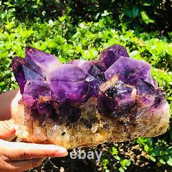 6.16LB Natural Amethyst Cluster Quartz Crystal Mineral Specimen Healing