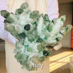 6.18LB Find Green Phantom Quartz Crystal Cluster Mineral Specimen Healing F860