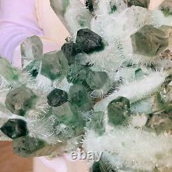 6.18LB Find Green Phantom Quartz Crystal Cluster Mineral Specimen Healing F860