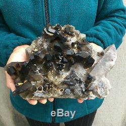 6.1LB Natural Large Smoky Quartz Cluster Healing Crystal Point Mineral Specimen