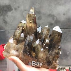 6.27LB Natural smokey quartz cluster crystal wand point healing BT4125