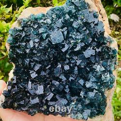 6.28LB NATURAL Green FLUORITE Quartz Crystal Cluster Mineral Specimen