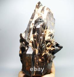 6.35lb Natural Rare Beautiful Black QUARTZ Crystal Cluster Mineral Specimen