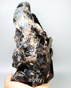 6.35lb Natural Rare Beautiful Black QUARTZ Crystal Cluster Mineral Specimen