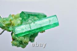 6.40 Ct. Full Terminated Transparent Panjsher Emerald Crystals Bunch @Afg