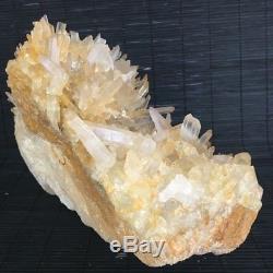 6.4LB Large Nature Clear Crystal Quartz Cluster Point Specimen Reiki Healing 19