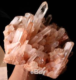 6.4lb Natural Clear Skin Quartz Point Crystal Cluster Healing Mineral Specimen