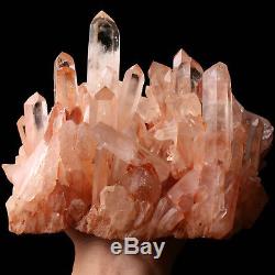 6.4lb Natural Clear Skin Quartz Point Crystal Cluster Healing Mineral Specimen