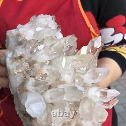 6.51LB Large Natural White Quartz Crystal Cluster Rough Specimen HEALING