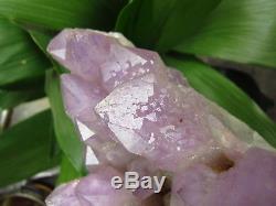 6.52lb NATURAL Amethyst quartz crystal cluster Point Specimens