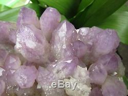 6.52lb NATURAL Amethyst quartz crystal cluster Point Specimens