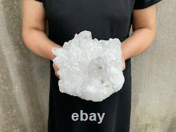 6.5LBS Natural Clear Quartz Cluster Mineral Crystal Specimen Healing TQS19