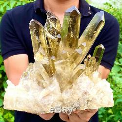 6.6LB Natural Citrine cluster mineral specimen quartz crystal healing F289