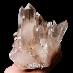 6.72lb Natural Clear Smoky Quartz Point Crystal Cluster Healing Mineral Specimen