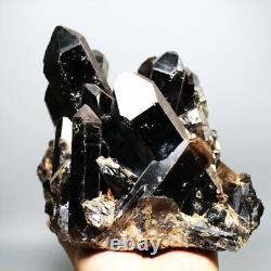 6.75lb Natural Rare Beautiful Black QUARTZ Crystal Cluster Mineral Specimen