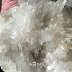 6.7lb Huge Natural Clear White Quartz Crystal Cluster Rough Specimen Healing
