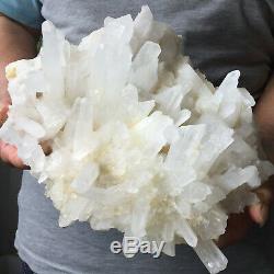 6.7lb Large Natural Clear White Quartz Crystal Cluster Rough Healing Specimen