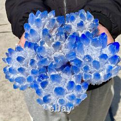 6.8lb New Find sky blue Phantom Quartz Crystal Cluster Mineral Specimen Healing