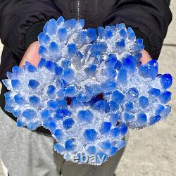 6.8lb New Find sky blue Phantom Quartz Crystal Cluster Mineral Specimen Healing